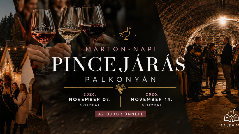 Márton Napi Pincejárás Cover